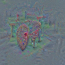 n03868242